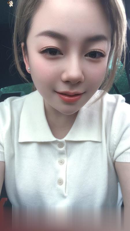 上海普陀大咪咪芙蓉